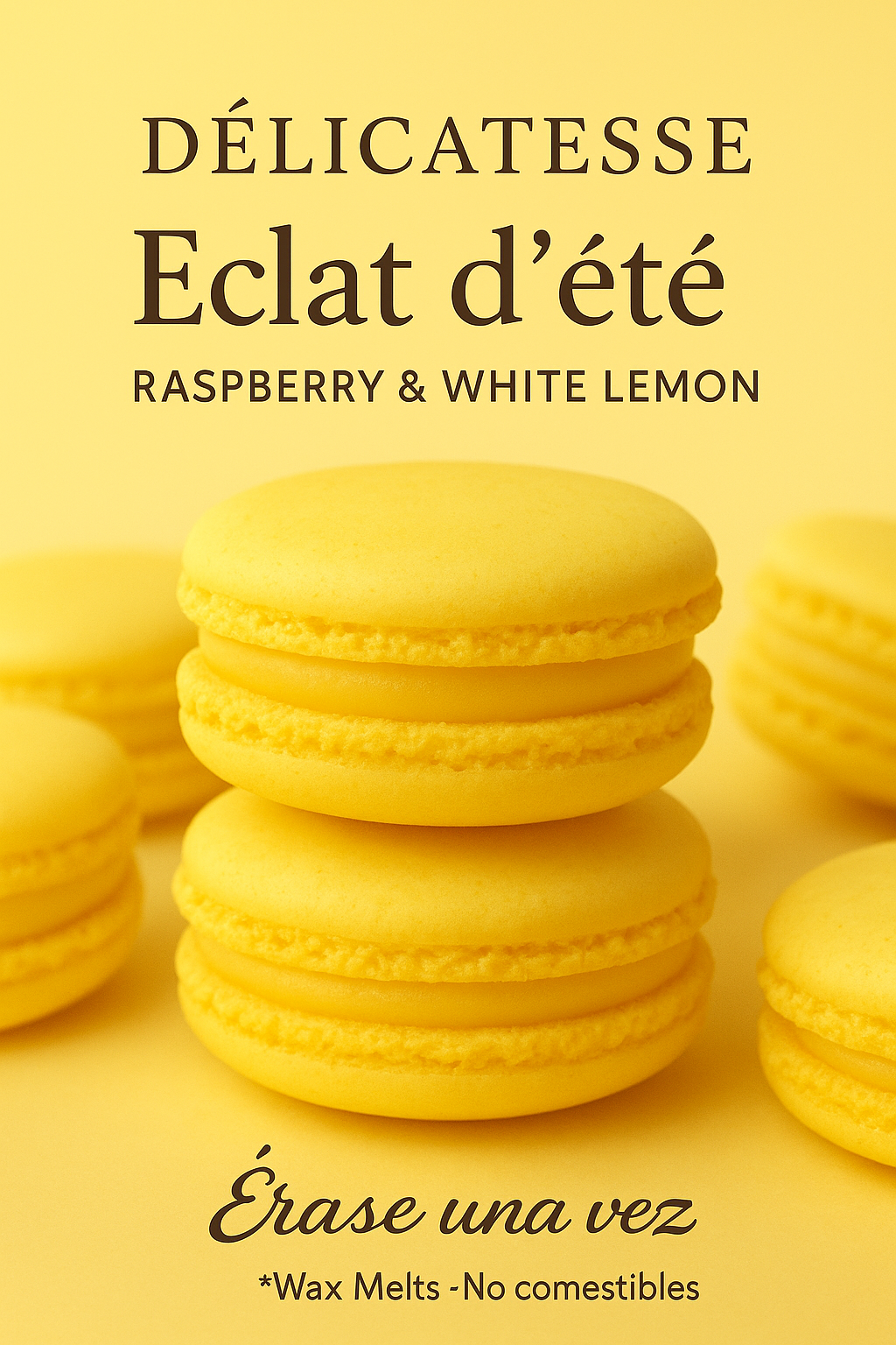 Coffret Délicatesse ~ Cajita 6 Macarons