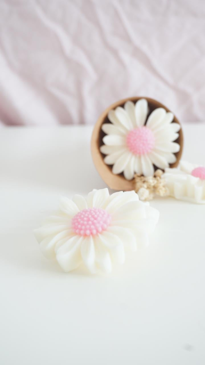 Wax melts ~ Margarita Rosa