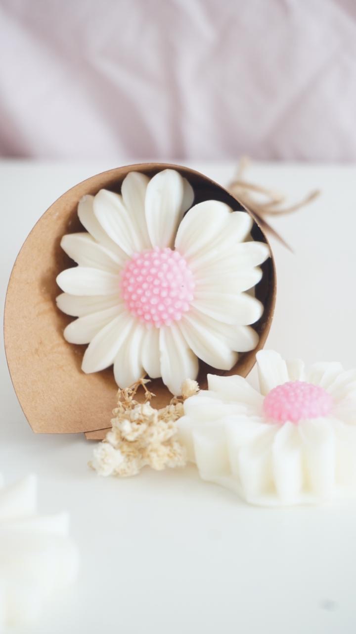 Wax melts ~ Margarita Rosa