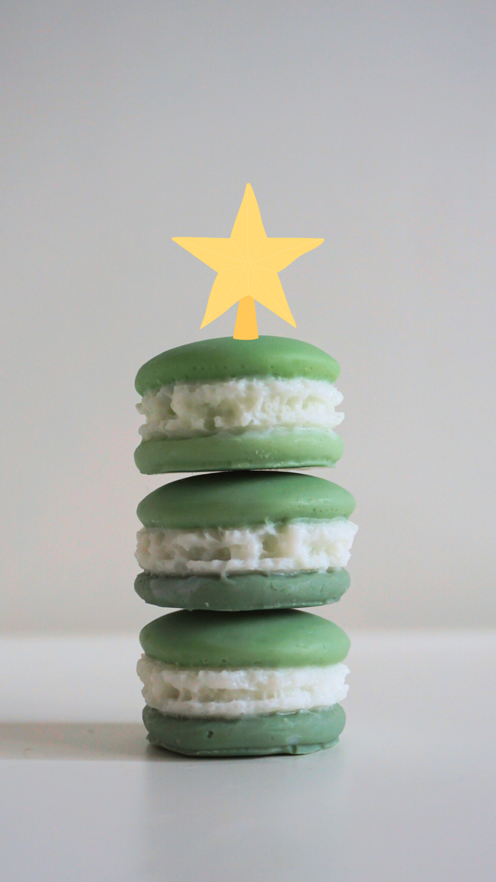 Macarons Wax melts ~ Bosque Nevado