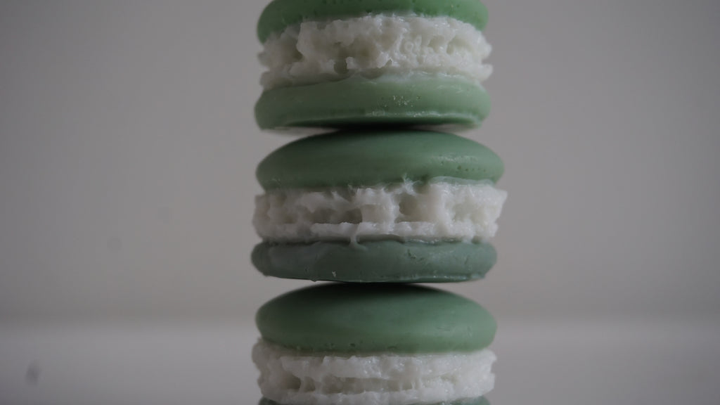 Macarons Wax melts ~ Bosque Nevado