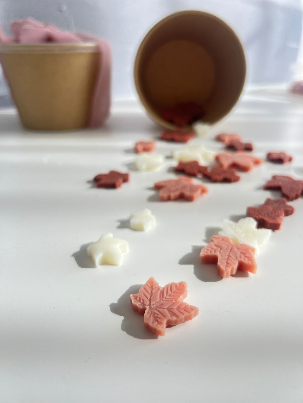 Wax melts ~ Forêt Enchantée